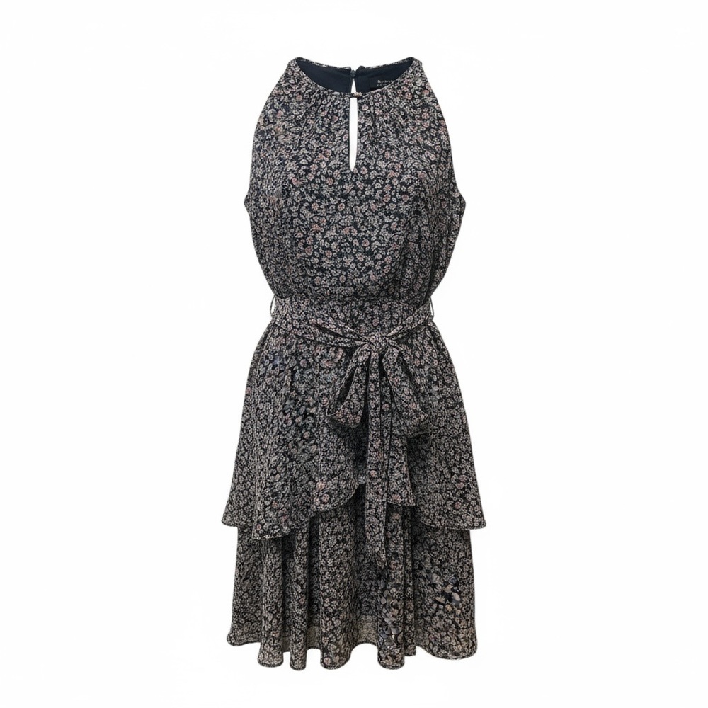 Tahari by Arthur S. Levine Women's Floral Chiffon Dress